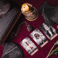 Avenirtel | voyant Alex